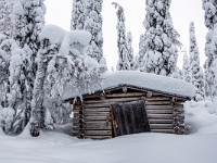 Riisitunturi National Park